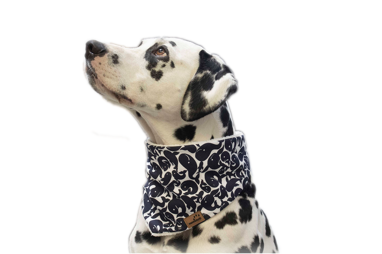 Hondenbandana Blue Whale pluche