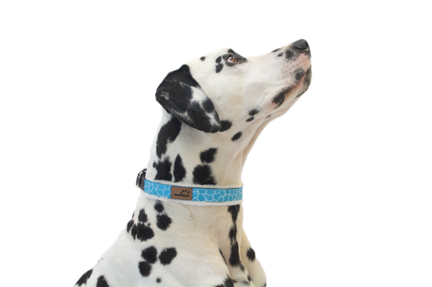 Halsband Leo / Blau