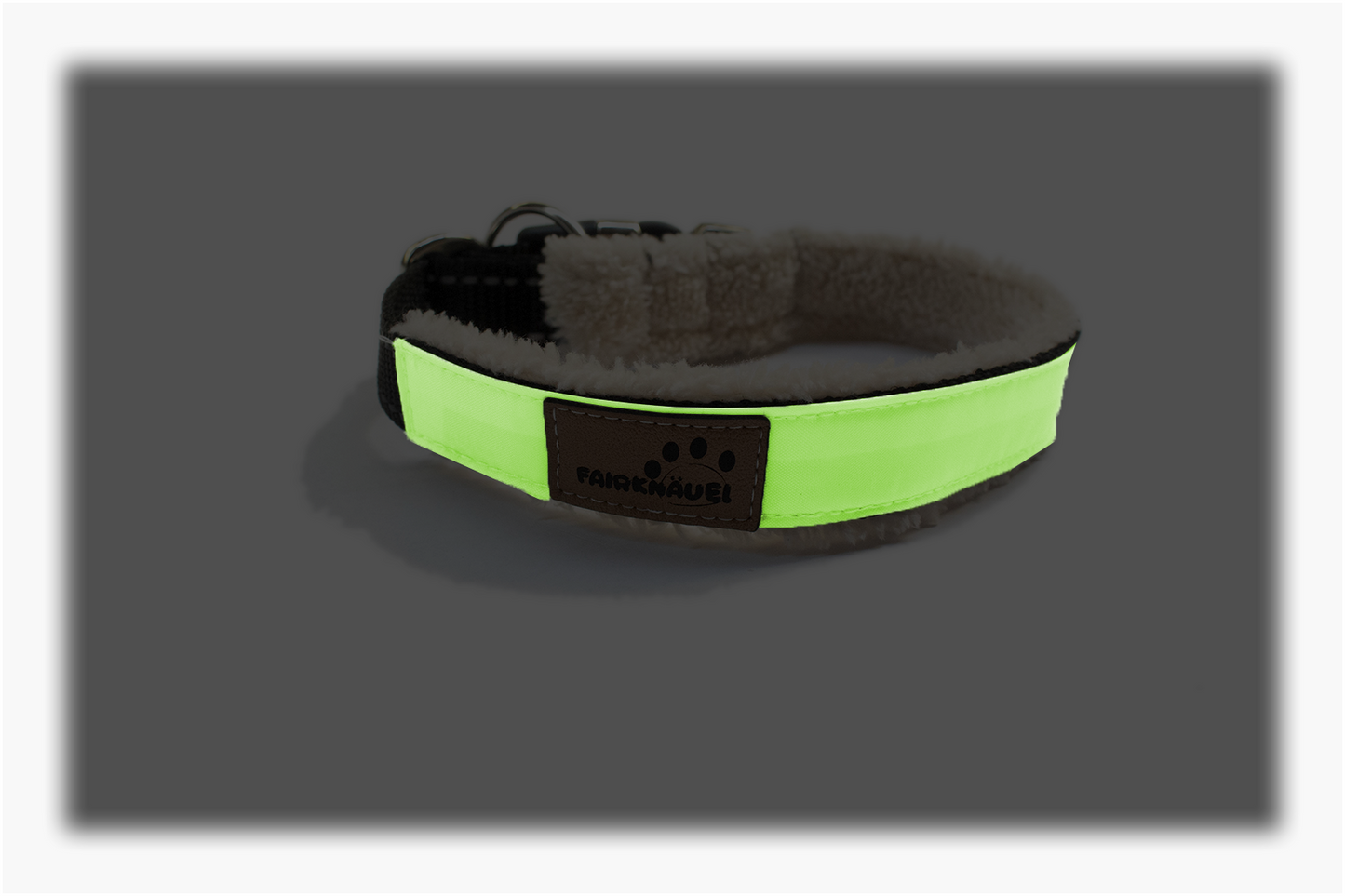 Glow Collar - Self-luminous