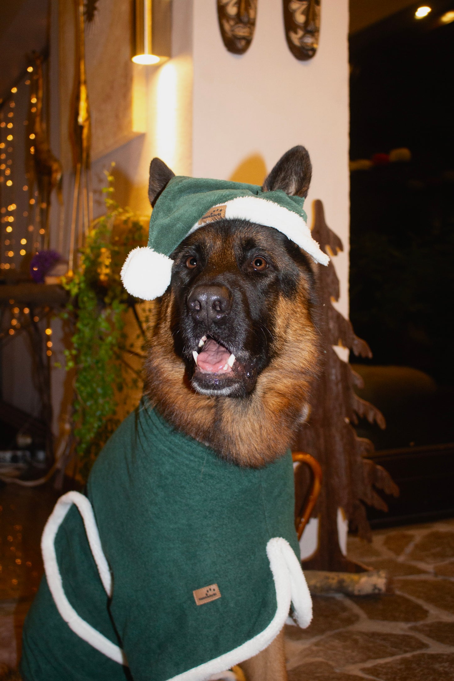 Hundebademantel Weihnachtself Grün weiß