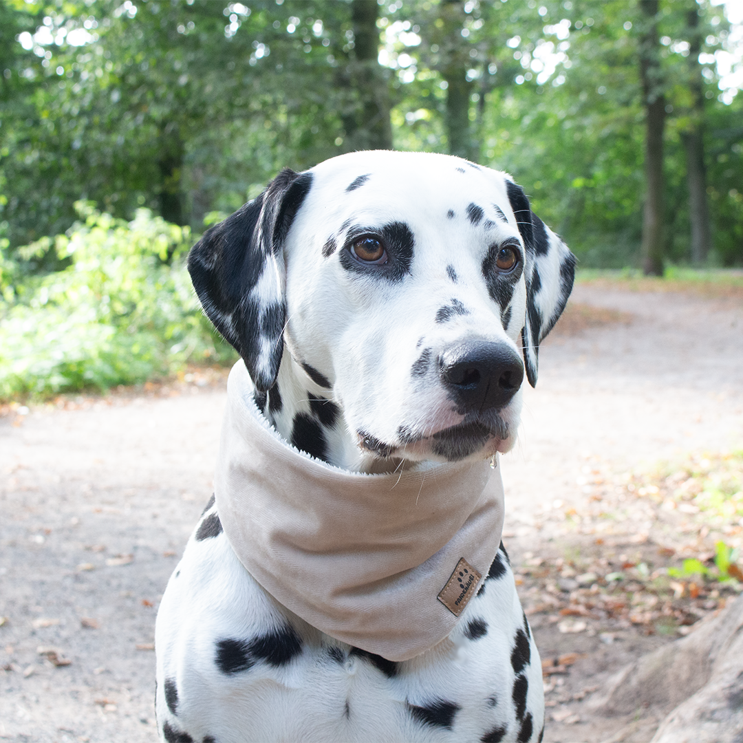 Hundehalstuch Nerz Beige