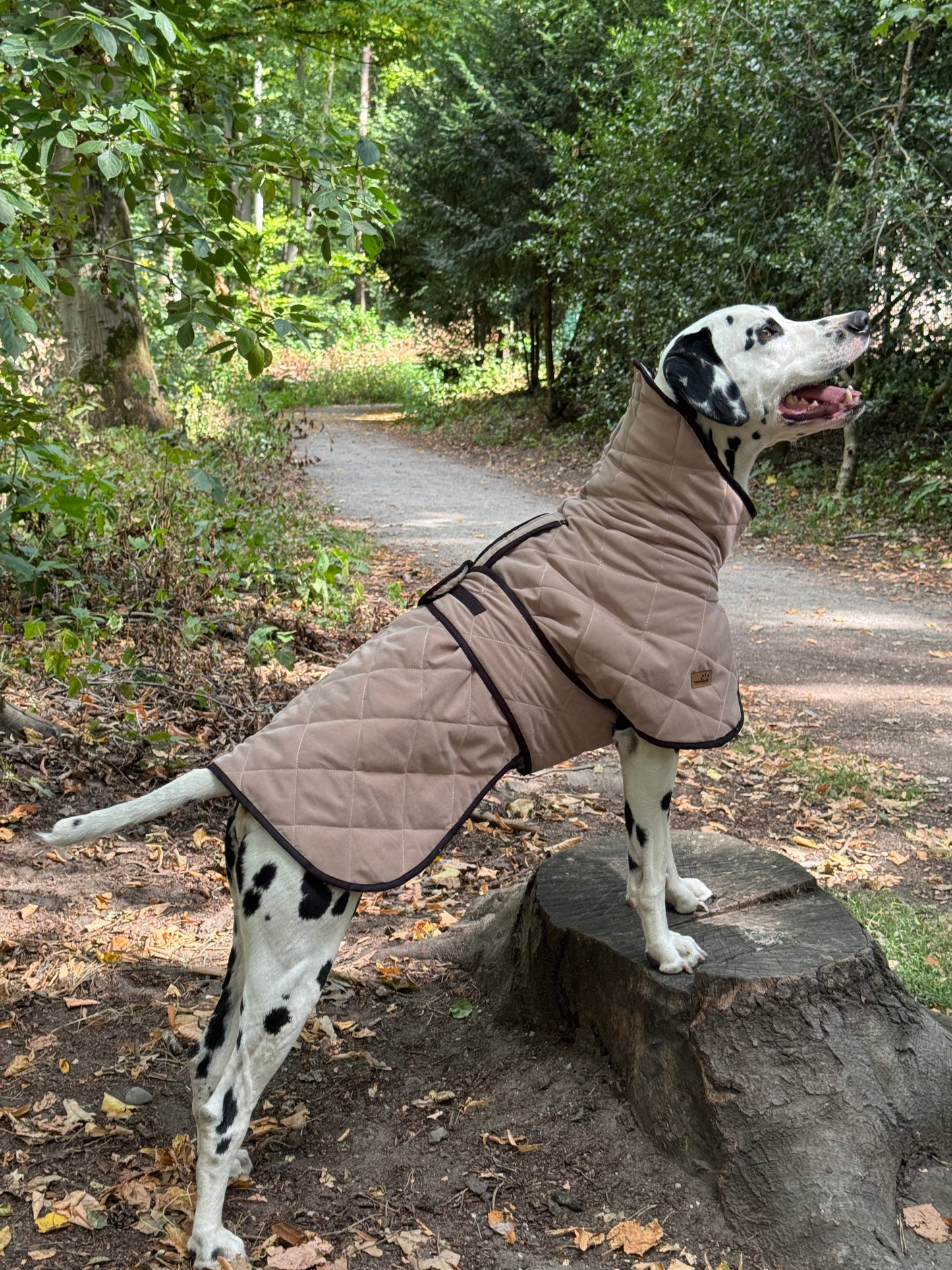 Hundemantel Beige gesteppt