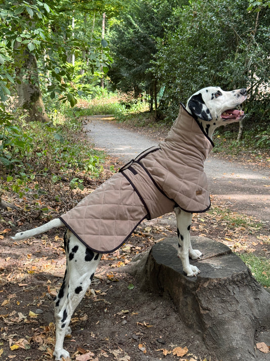 Hundemantel Beige gesteppt