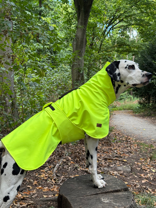 Hunde Regenmantel Neon Gelb